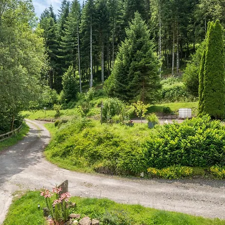 شقة Waldblick