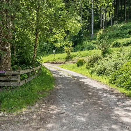 Waldblick Appartamento